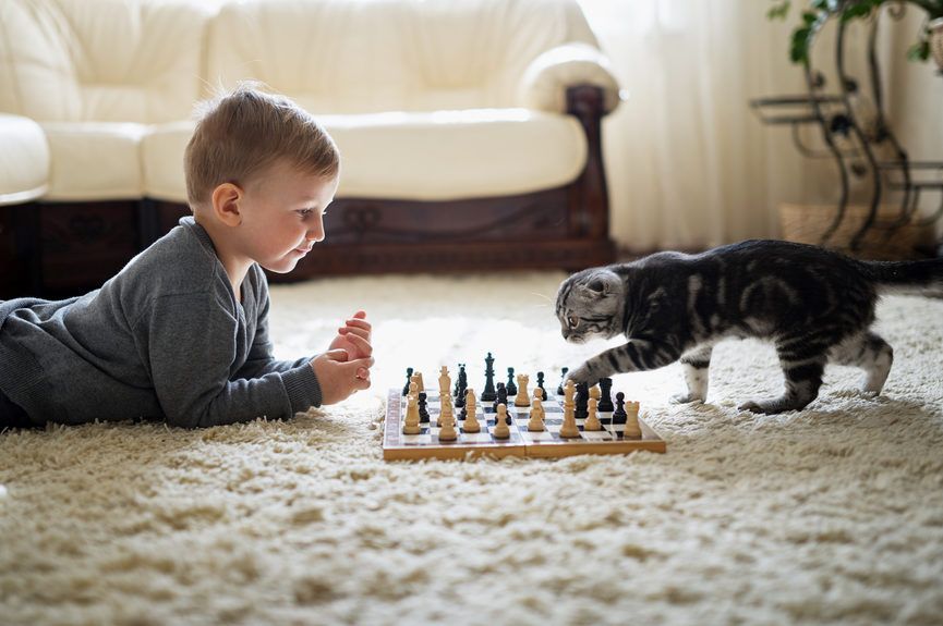 kot z chłopcem grają w szachy