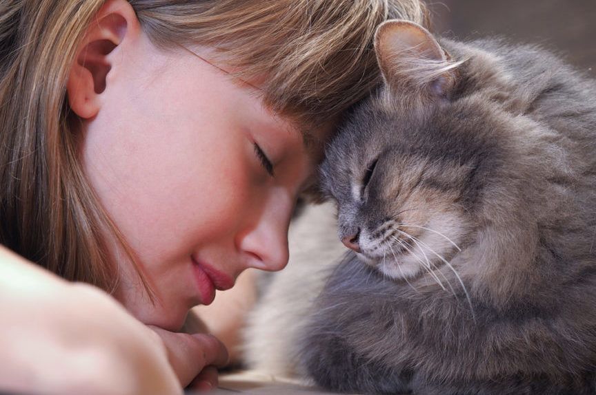 barankujący kot i dziewczyna