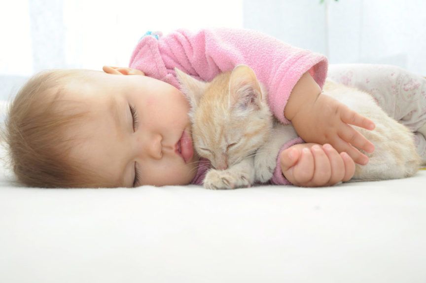 niemowlę przytula małego kotka