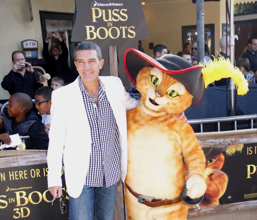 Kot ze Shreka i Antonio Banderas