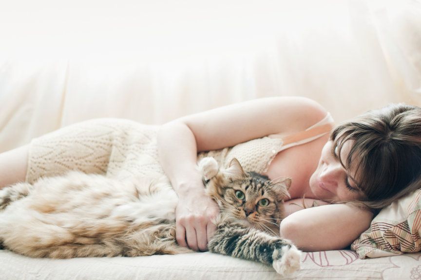 kot w łóżku