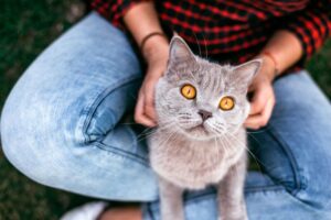 zespół Toma i Jerry'ego