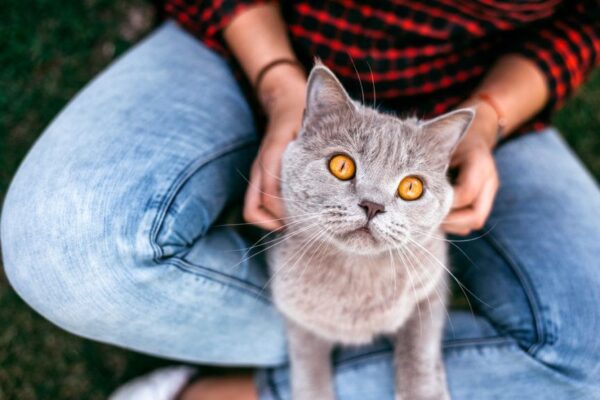 zespół Toma i Jerry'ego