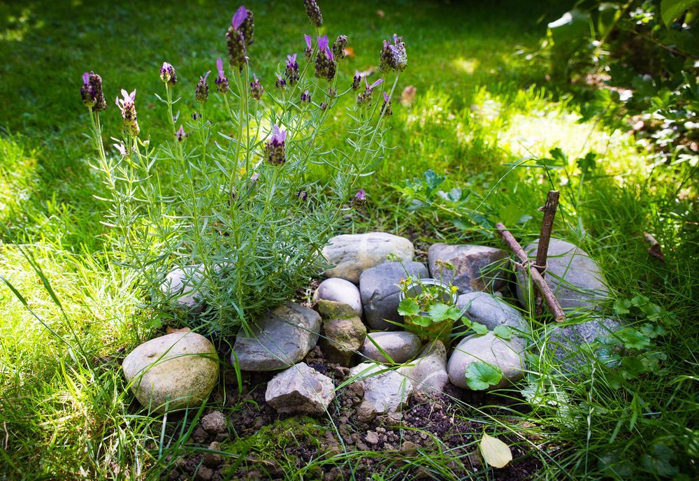 cmentarz dla zwierząt