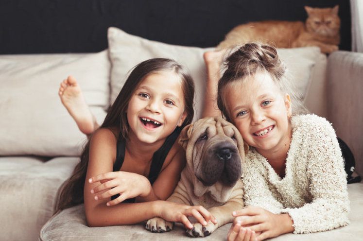 opiekunowie kotów i psów