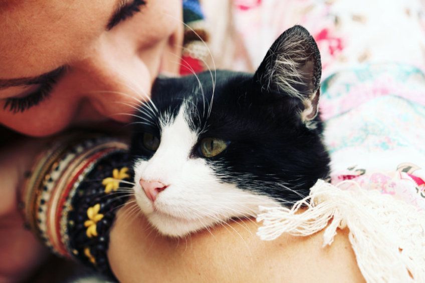 czarno biały kot na rękach