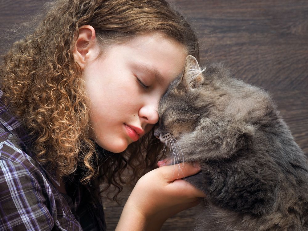 dziewczyna przytula kota