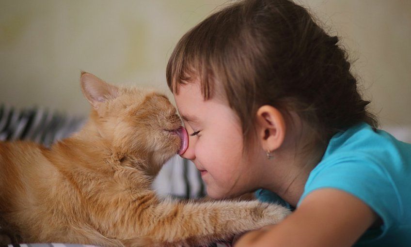 dziewczynka z kotem