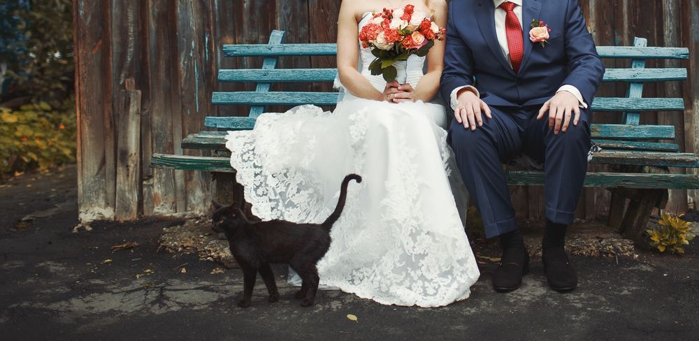 Czarny kotek obok Młodej Pary, która siedzi na ławce