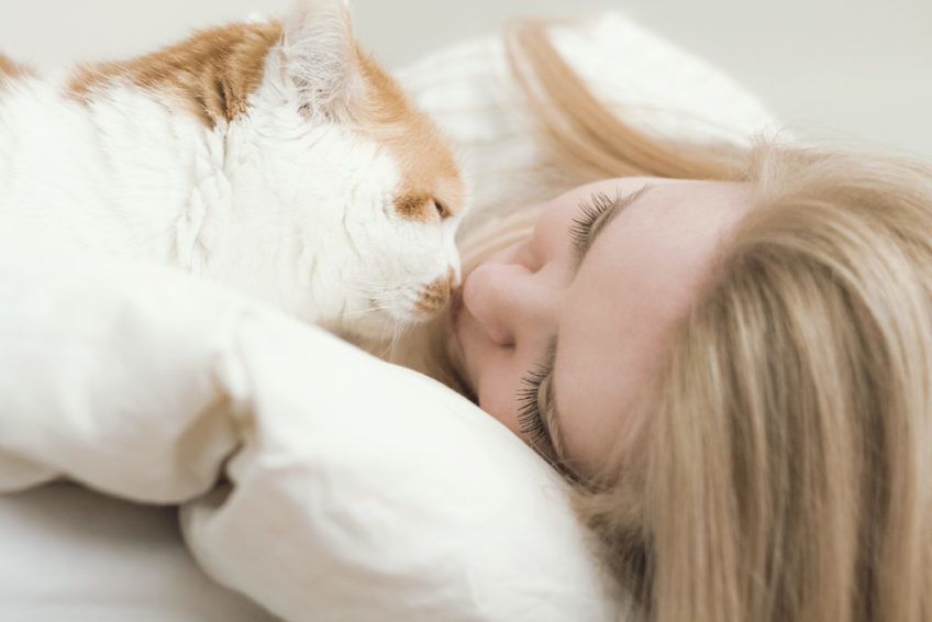 Kot dotyka pyszczkiem twarzy kobiety