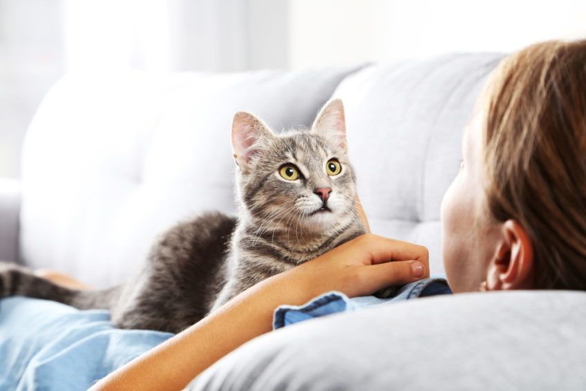 Kot leży na dziewczynce