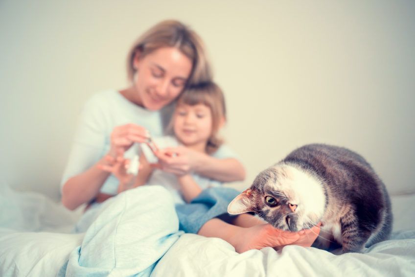 kot w łóżku z kobietą i dzieckiem