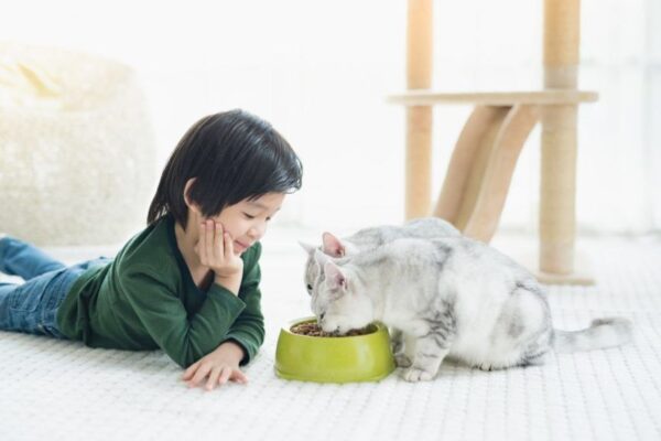 Chłopiec patrzy jak kot je