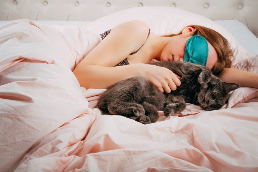 kot śpi z panią
