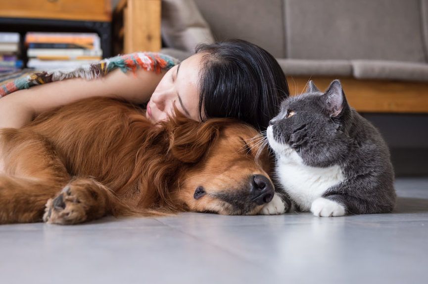dziewczyna z psem i kotem