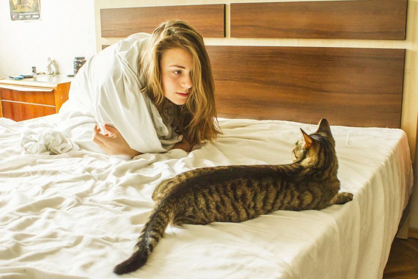 kot obudził kobietę