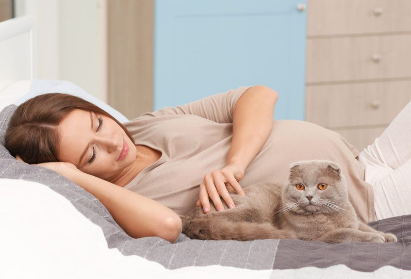 kobieta w ciąży i kot