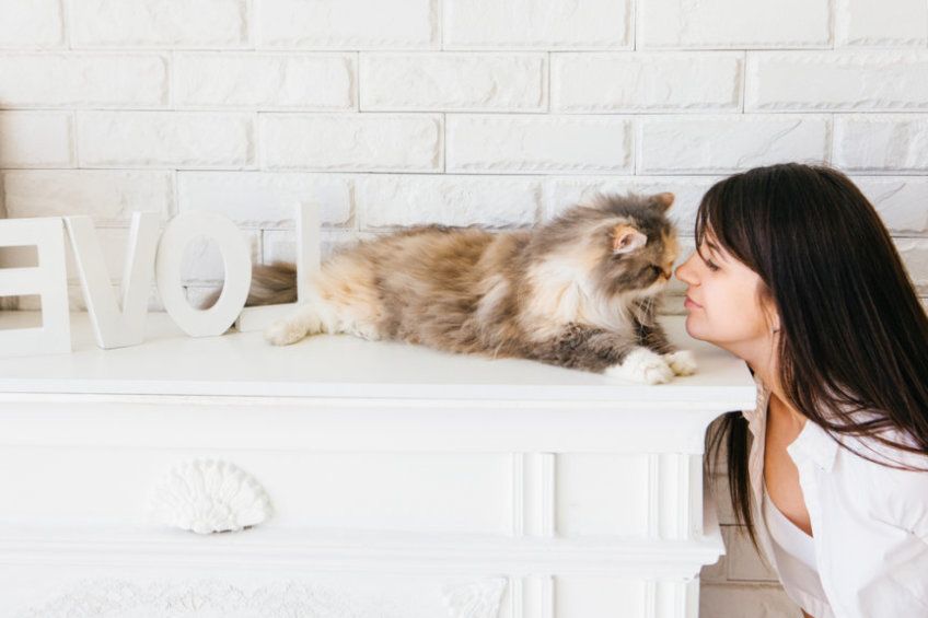 sposoby opkazywania uczuć przez kota