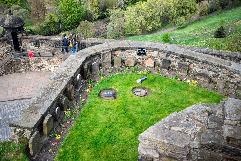 cmentarz dla zwierząt w Szkocji