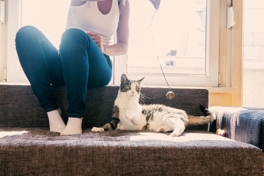 jak pomóc kotu przetrwać upał