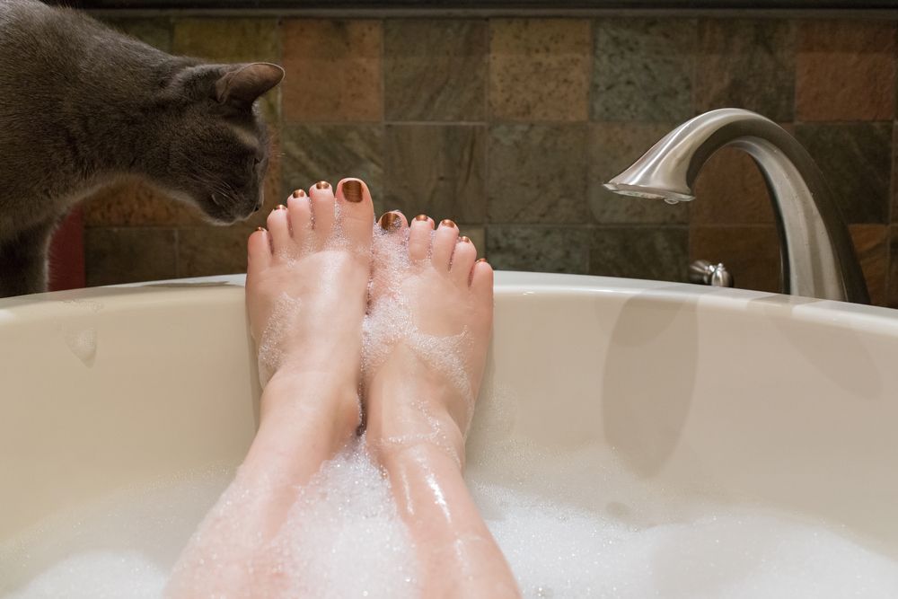 Dlaczego koty nas podglądają