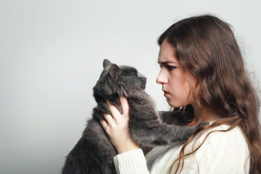 dlaczego ludzie nie lubią kotów