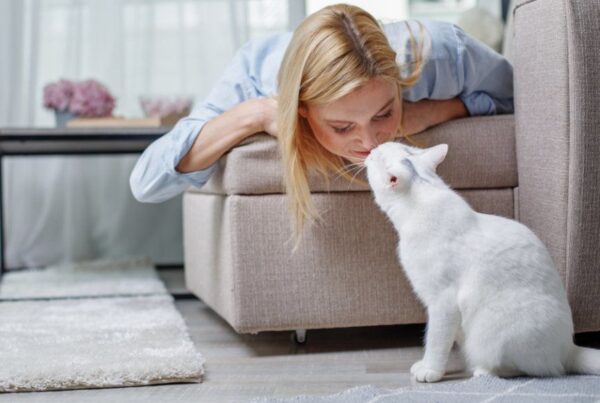 dlaczego kot ociera się