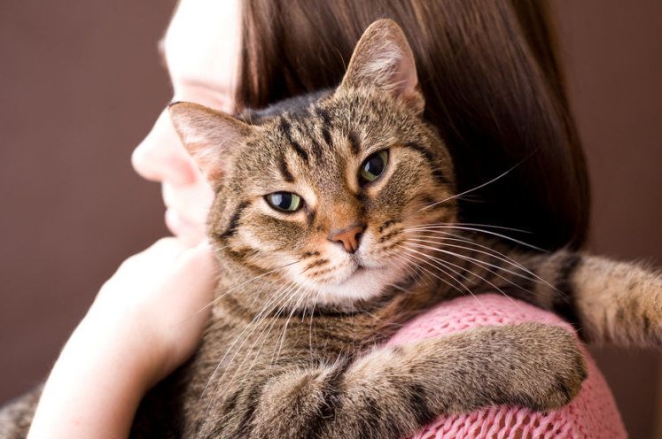 Nie porzucaj, pani przytula kota