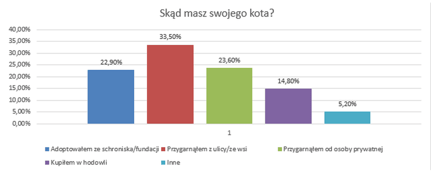 jak polacy opiekują się swoimi kotami