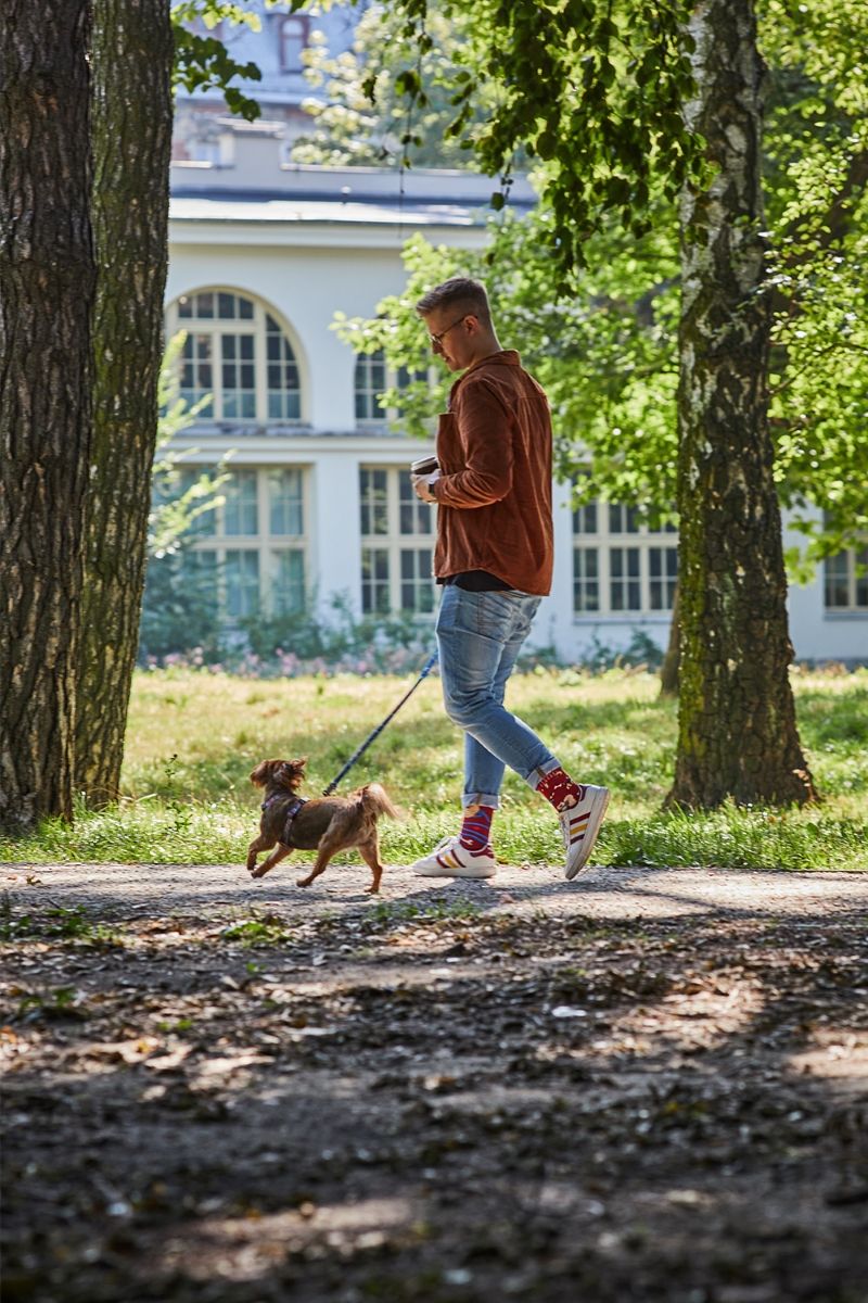 spacer z psem Many Walks.jpg