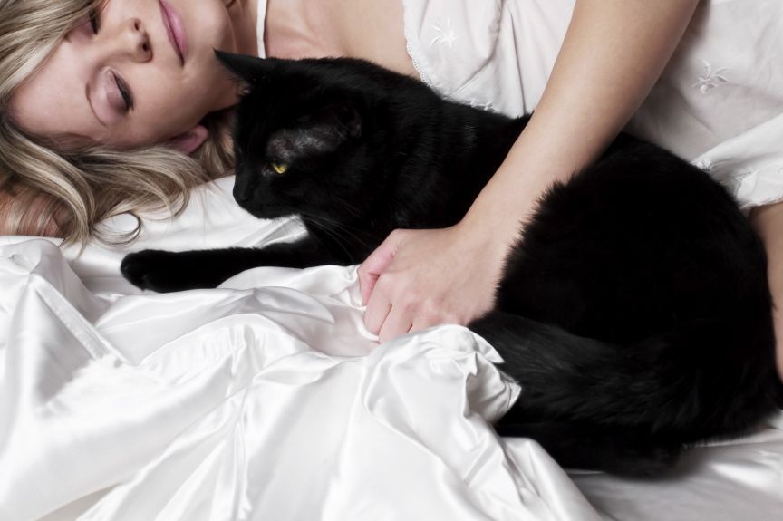 co robi kot kiedy śpisz