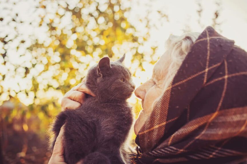 staruszka umarła ze swoją kotką