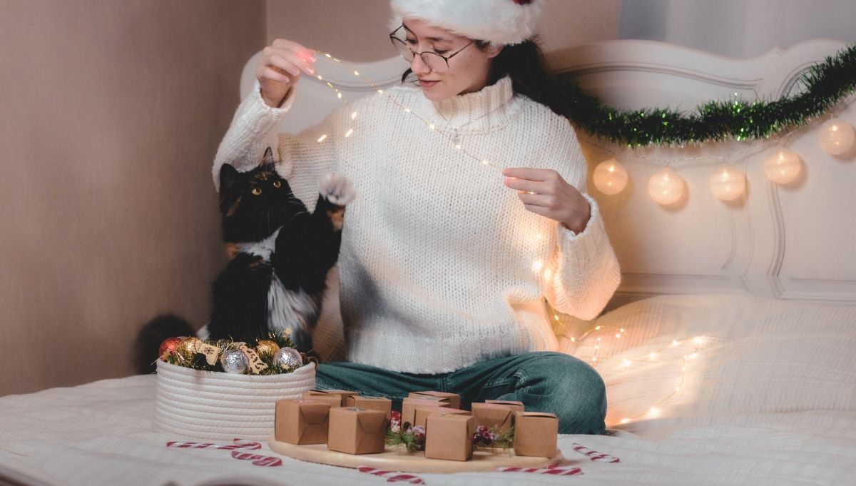 święta z kotem zolux