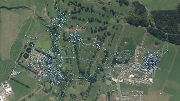 nadajnik gps dla kota