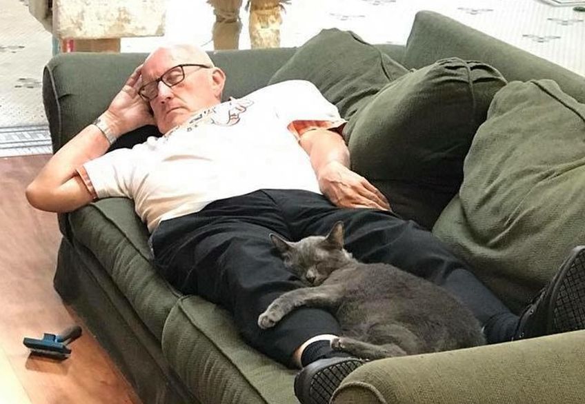 terry laurmen śpi z kotami w schronisku