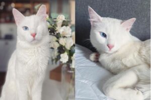 fot. Instagram / @oneeyedtheo