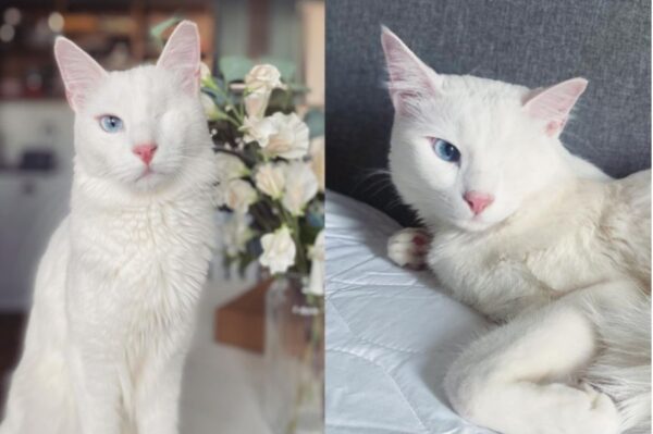 fot. Instagram / @oneeyedtheo