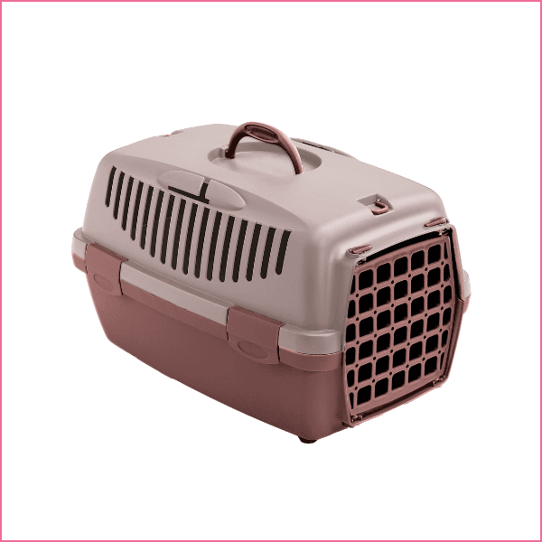 transporter zolux gulliver 1