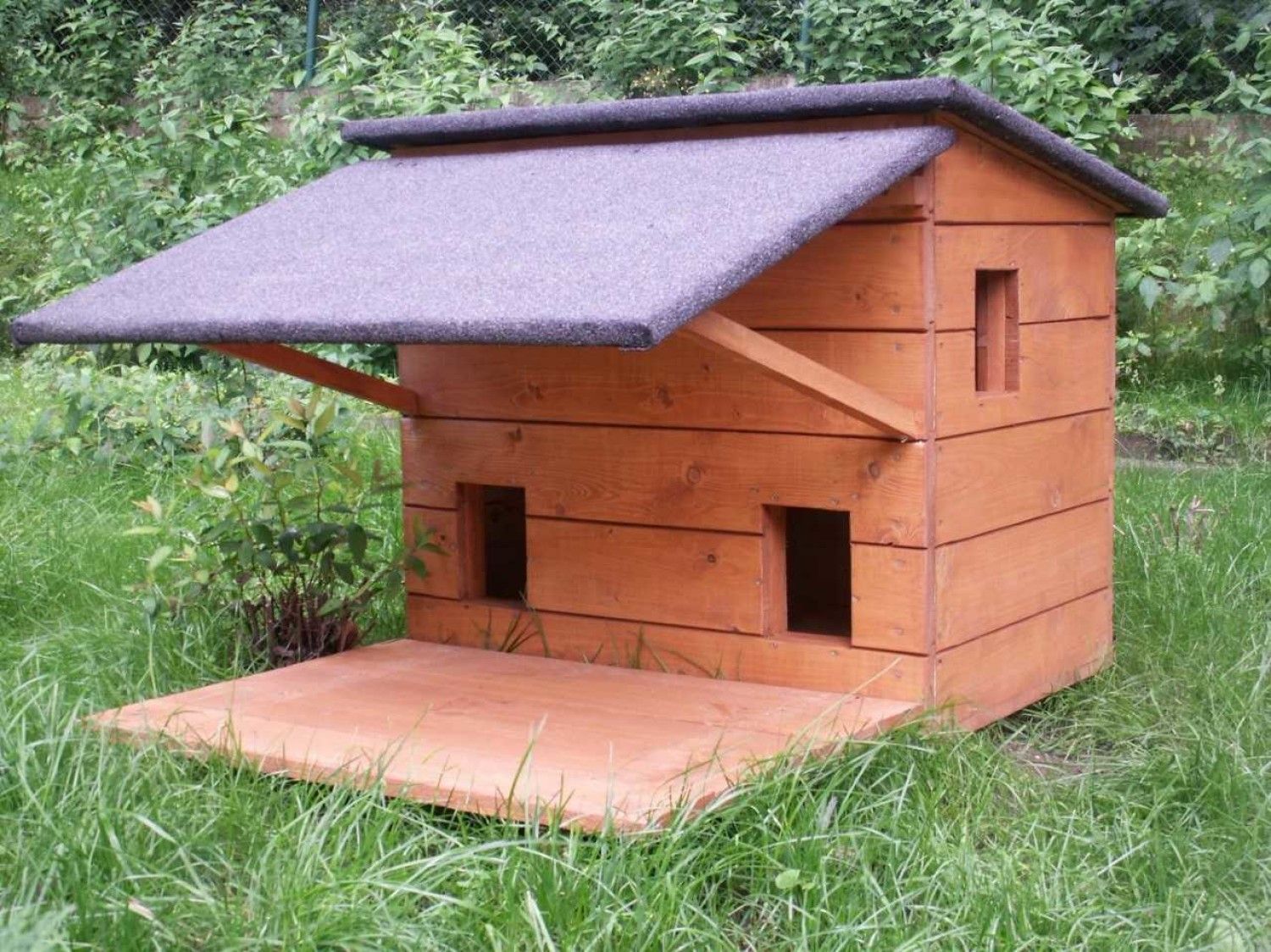 budki dla kotów/Urząd Miasta Sieradza/materiały prasowe