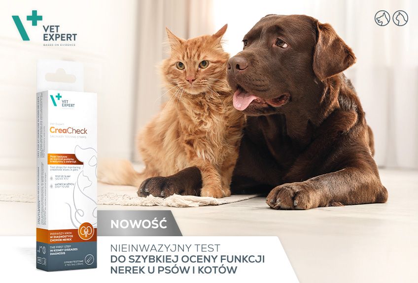 vet expert creacheck.jpg