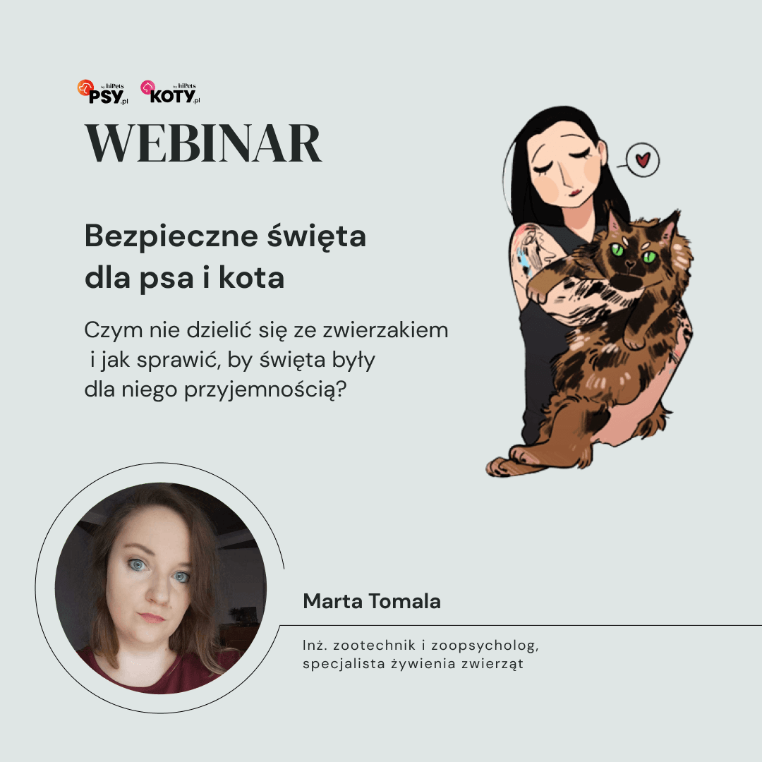 webinar