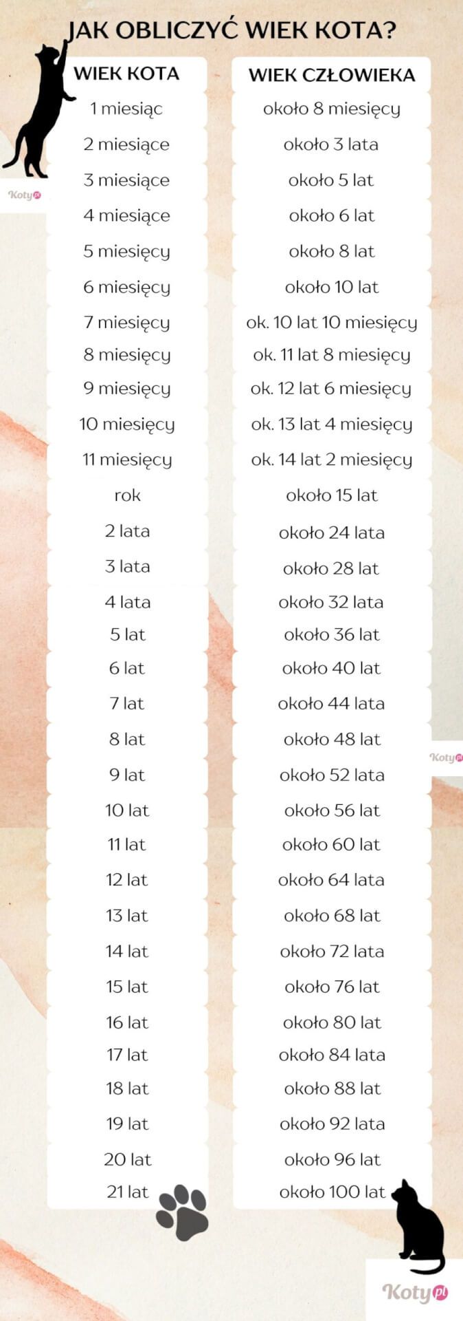 lata kota na ludzkie jak przeliczyć wiek tabela