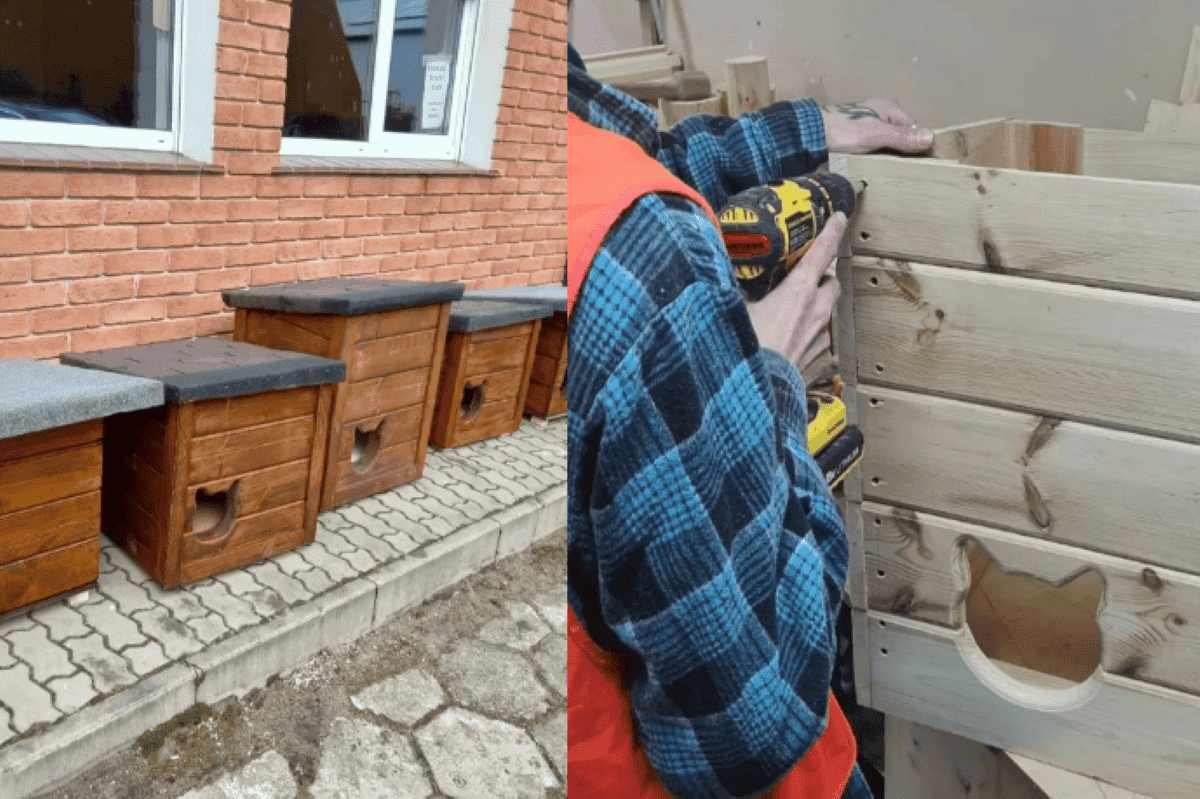 wiezniowie zrobili budki