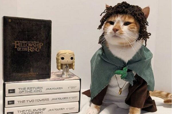 Kot z biblioteki w Bellefonte (Pensylwiania) przykuwa ostatnimi czasy uwagę internautów. Spieszymy zawiadomić, że najbardziej kociarska i przez to najbardziej atrakcyjna akcja promująca czytanie właśnie trwa! Na czym polega? Sprawdź sam!