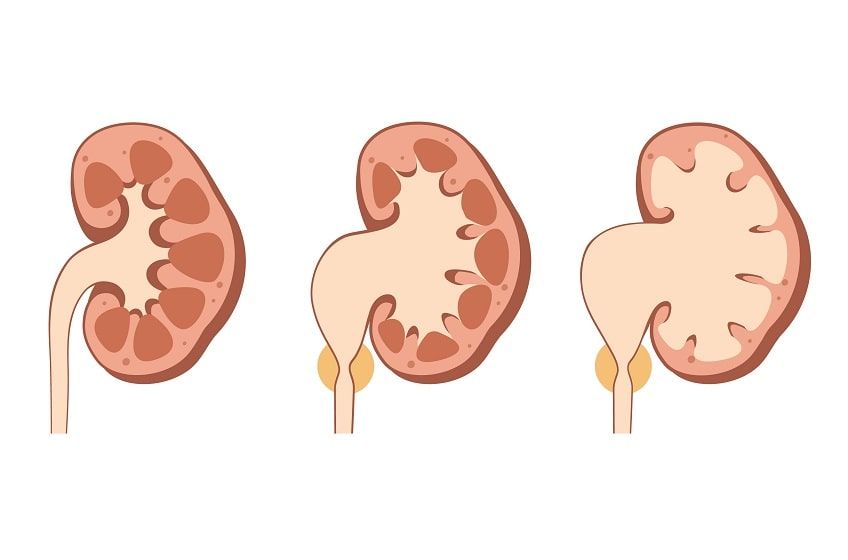 wodonercze kot-min.jpg