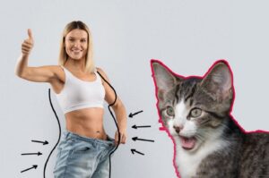 ćwiczenie wymiotujący kot