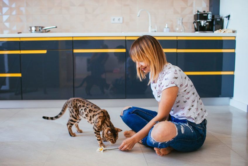 ile bawić się z kotem