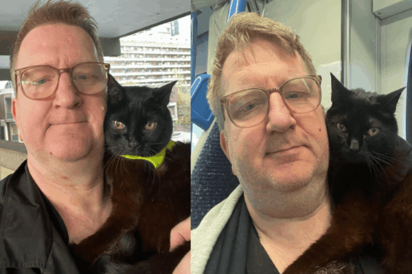 zakaz wstępu z kotem asystującym