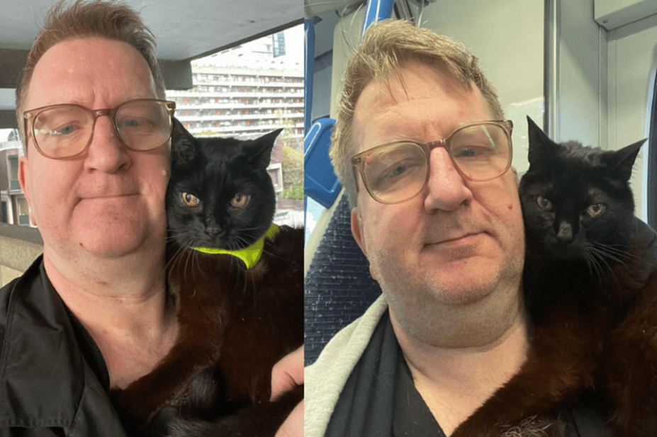 zakaz wstępu z kotem asystującym