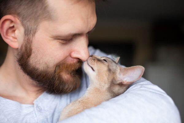 zanim zdecydujesz się na kota